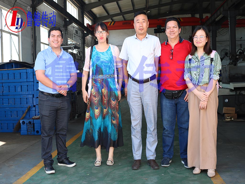 草莓污视频傳動來訪（fǎng）國外客戶